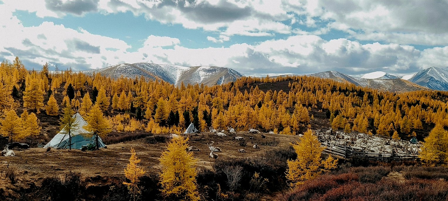 Tsaatan Camp — Western Taiga