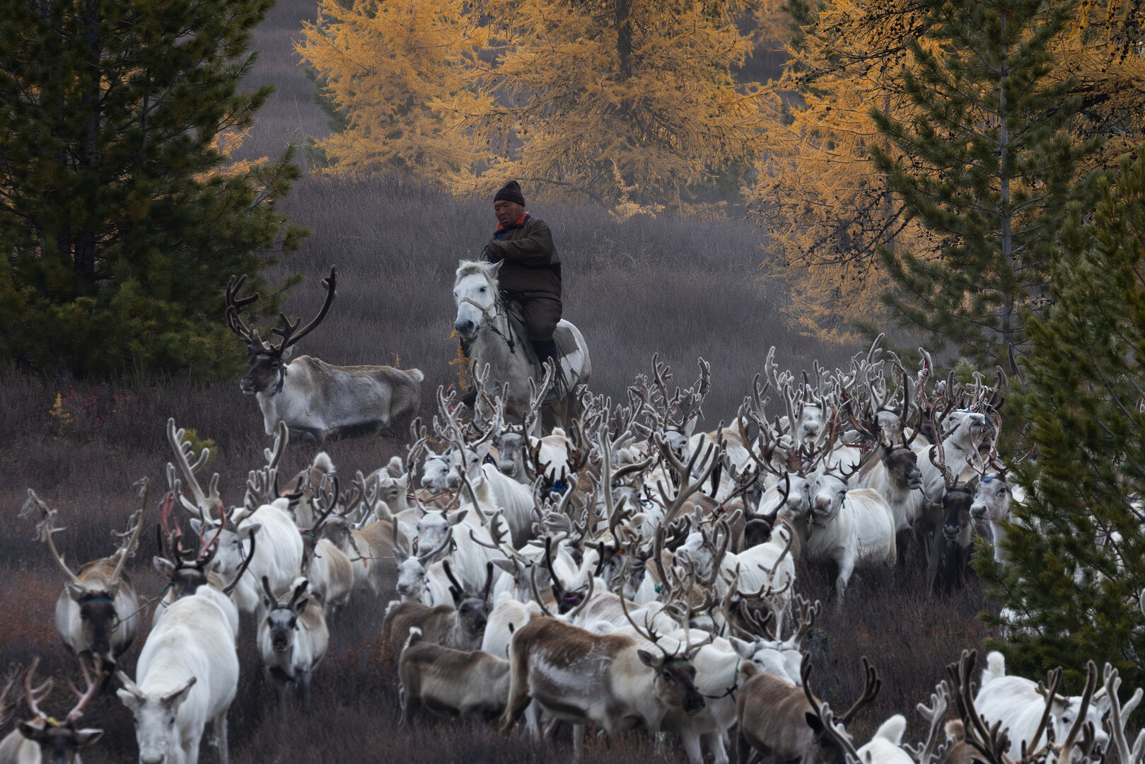 Tsaatan by Theo Allofs